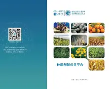 ?DU?瘮?+质湂珼Bd腨薠侪攦%u;私F嚼椁灢o姿?Uguz?ixT(鐢樿們瀛睄绠悊绯荤粺鐧诲綍鍏8)